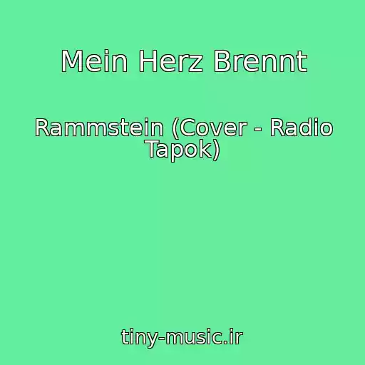 کاور آهنگ Mein Herz Brennt از Rammstein (Cover - Radio Tapok)