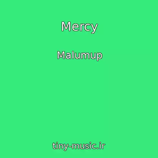 کاور آهنگ Mercy از Malumup