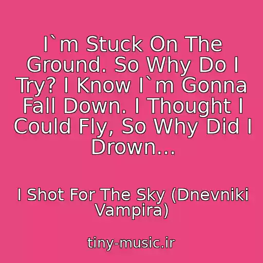 کاور آهنگ I`m Stuck On The Ground. So Why Do I Try? I Know I`m Gonna Fall Down. I Thought I Could Fly, So Why Did I Drown... از I Shot For The Sky (Dnevniki Vampira)