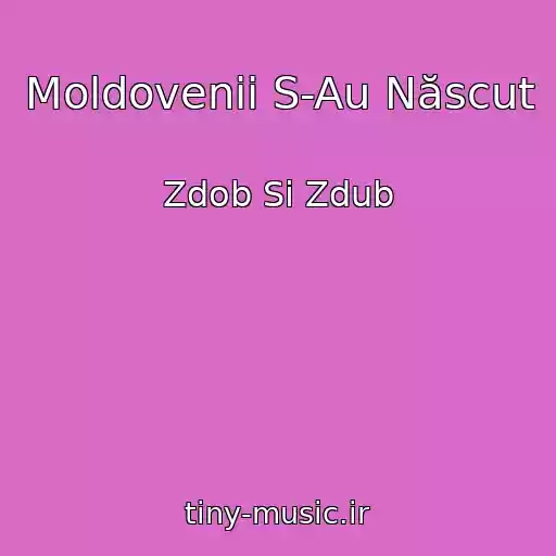 کاور آهنگ Moldovenii S-Au Născut از Zdob Si Zdub