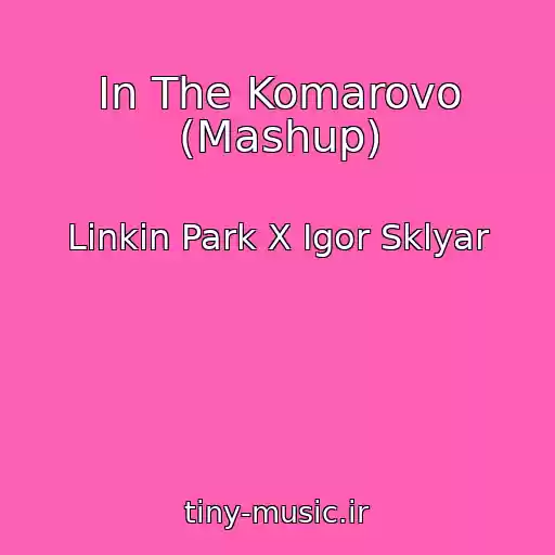 کاور آهنگ In The Komarovo (Mashup) از Linkin Park X Igor Sklyar