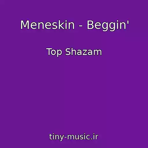 کاور آهنگ Meneskin - Beggin' از Top Shazam