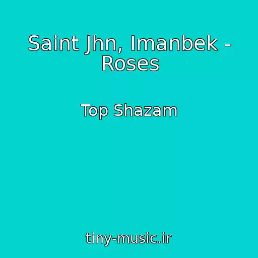 کاور آهنگ Saint Jhn, Imanbek - Roses از Top Shazam