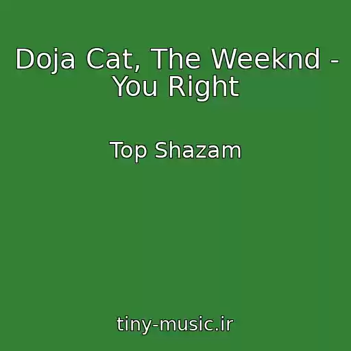 کاور آهنگ Doja Cat, The Weeknd - You Right از Top Shazam