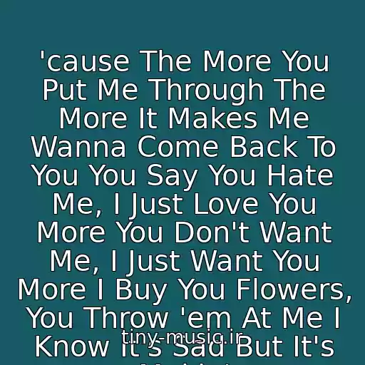 کاور آهنگ 'cause The More You Put Me Through The More It Makes Me Wanna Come Back To You You Say You Hate Me, I Just Love You More You Don't Want Me, I Just Want You More I Buy You Flowers, You Throw 'em At Me I Know It's Sad But It's Makin' از Eminem