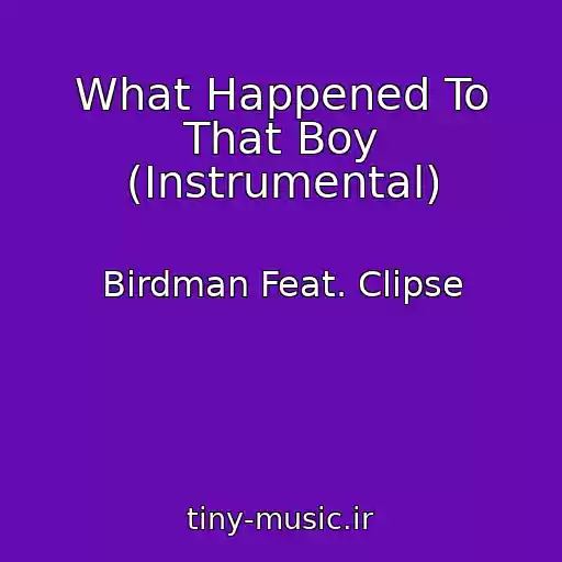 کاور آهنگ What Happened To That Boy (Instrumental) از Birdman Feat. Clipse