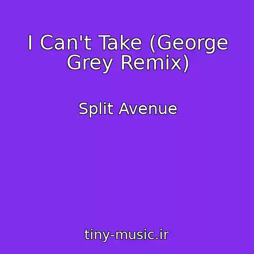 کاور آهنگ I Can't Take (George Grey Remix) از Split Avenue