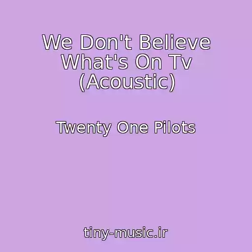 کاور آهنگ We Don't Believe What's On Tv (Acoustic) از Twenty One Pilots