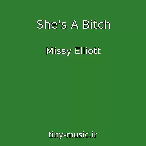 کاور آهنگ She's A Bitch از Missy Elliott