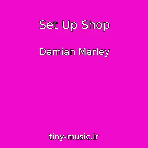 کاور آهنگ Set Up Shop از Damian Marley