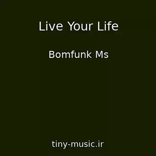 کاور آهنگ Live Your Life از Bomfunk Ms