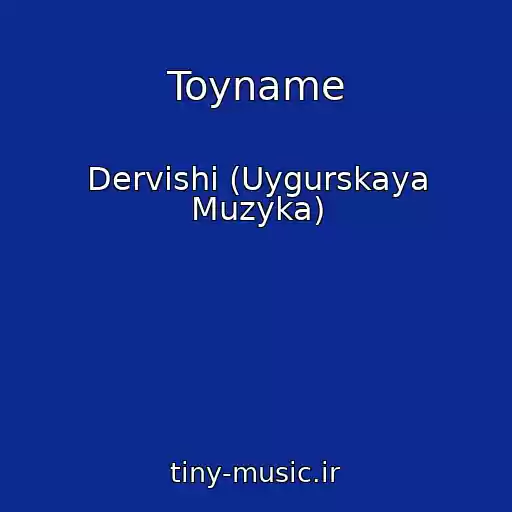 کاور آهنگ Toyname از Dervishi (Uygurskaya Muzyka)