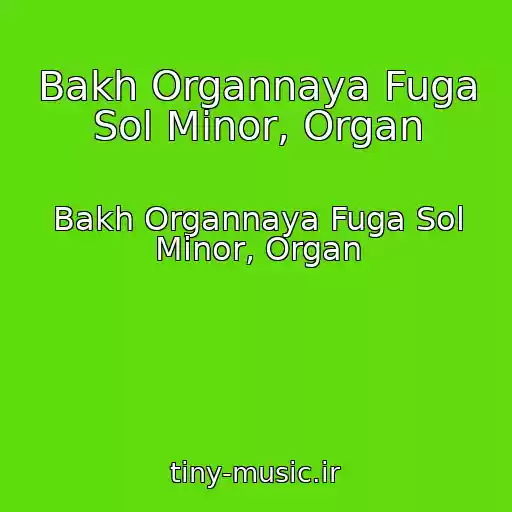 کاور آهنگ Bakh Organnaya Fuga Sol Minor, Organ از Bakh Organnaya Fuga Sol Minor, Organ