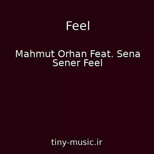 کاور آهنگ Feel از Mahmut Orhan Feat. Sena Sener Feel