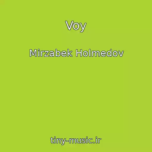 کاور آهنگ Voy از Mirzabek Holmedov