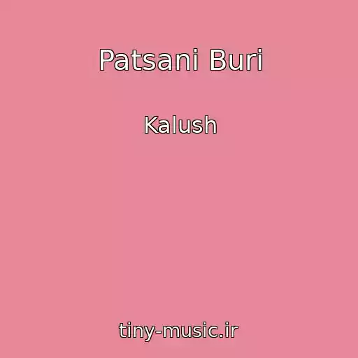 کاور آهنگ Patsani Burі از Kalush