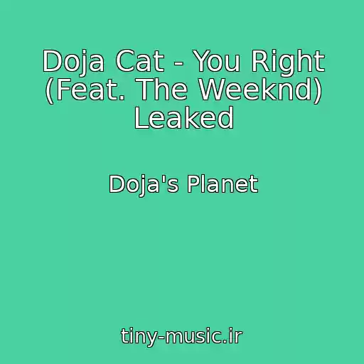 کاور آهنگ Doja Cat - You Right (Feat. The Weeknd) Leaked از Doja's Planet