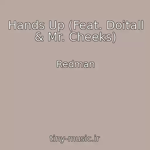 کاور آهنگ Hands Up (Feat. Doitall & Mr. Cheeks) از Redman