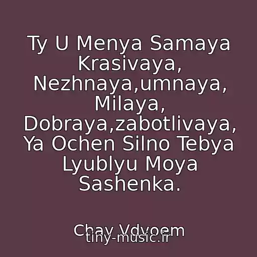 کاور آهنگ Ty U Menya Samaya Krasivaya, Nezhnaya,umnaya, Milaya, Dobraya,zabotlivaya, Ya Ochen Silno Tebya Lyublyu Moya Sashenka. از Chay Vdvoem