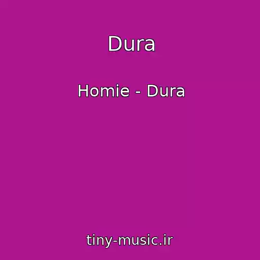 کاور آهنگ Dura از Homie - Dura