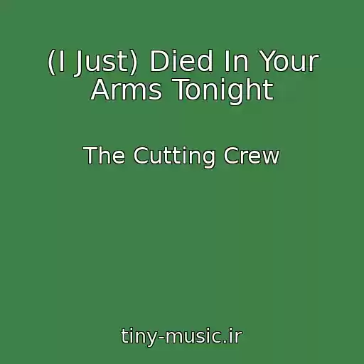 کاور آهنگ (I Just) Died In Your Arms Tonight از The Cutting Crew