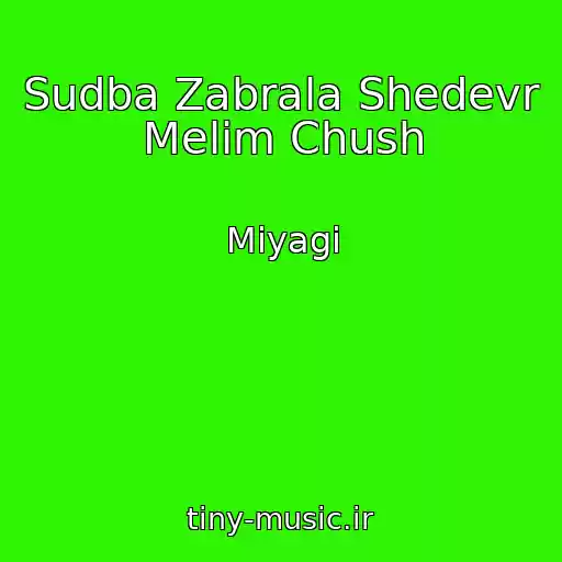 کاور آهنگ Sudba Zabrala Shedevr Melim Chush از Miyagi