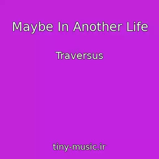کاور آهنگ Maybe In Another Life از Traversus