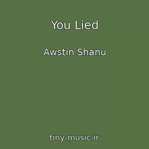 کاور آهنگ You Lied از Awstin Shanu