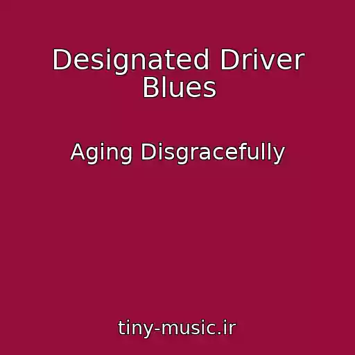 کاور آهنگ Designated Driver Blues از Aging Disgracefully