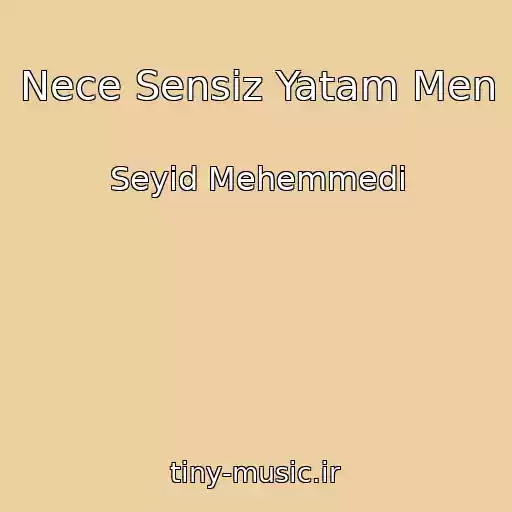 کاور آهنگ Nece Sensiz Yatam Men از Seyid Mehemmedi