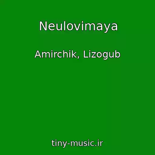 کاور آهنگ Neulovimaya از Amirchik, Lizogub