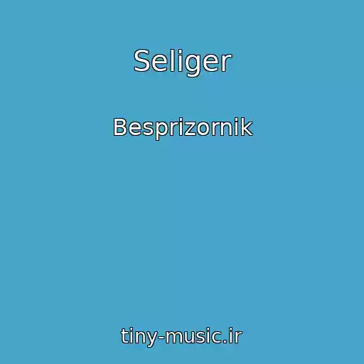 کاور آهنگ Seliger از Besprizornik