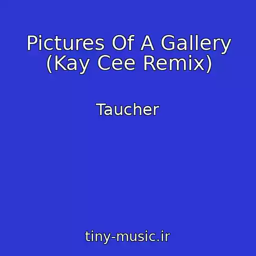 کاور آهنگ Pictures Of A Gallery (Kay Cee Remix) از Taucher