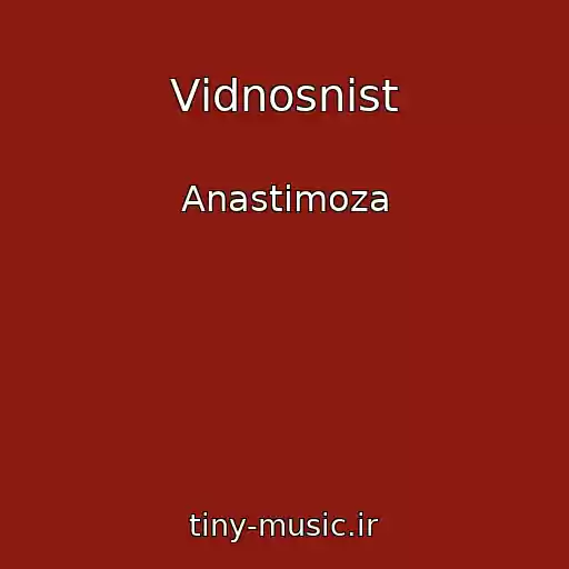 کاور آهنگ Vіdnosnіst از Anastimoza