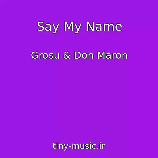 کاور آهنگ Say My Name از Grosu & Don Maron