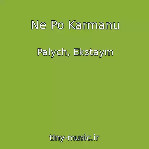 کاور آهنگ Ne Po Karmanu از Palych, Ekstaym