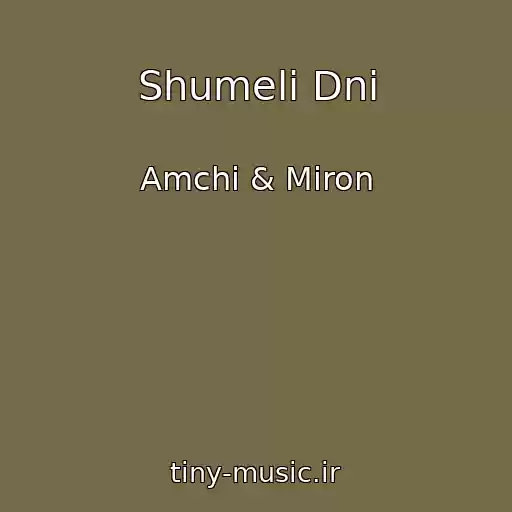 کاور آهنگ Shumeli Dni از Amchi & Miron