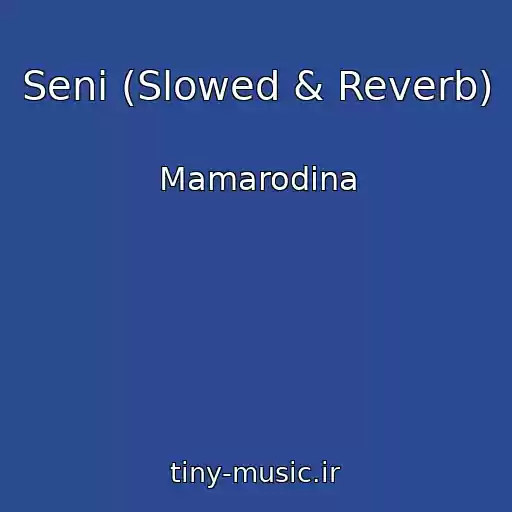کاور آهنگ Seni (Slowed & Reverb) از Mamarodina