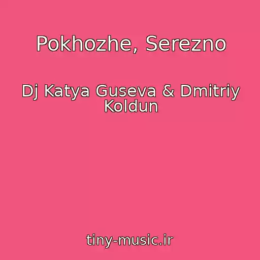کاور آهنگ Pokhozhe, Serezno از Dj Katya Guseva & Dmitriy Koldun