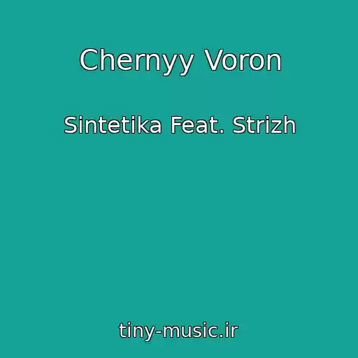 کاور آهنگ Chernyy Voron از Sintetika Feat. Strizh