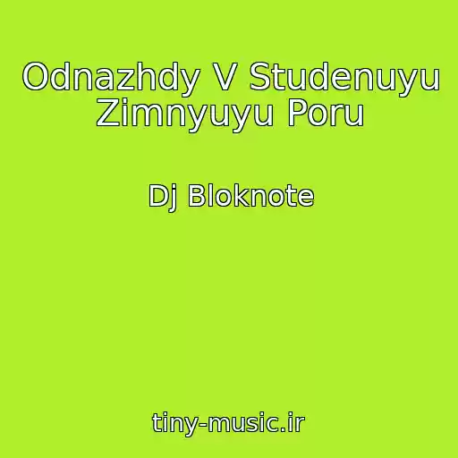 کاور آهنگ Odnazhdy V Studenuyu Zimnyuyu Poru از Dj Bloknote