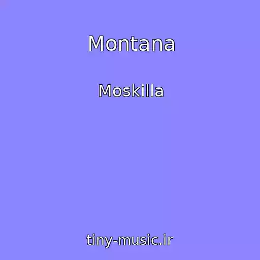 کاور آهنگ Montana از Moskilla