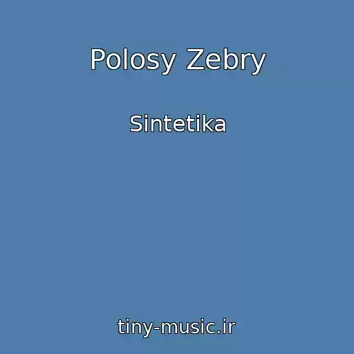 کاور آهنگ Polosy Zebry از Sintetika
