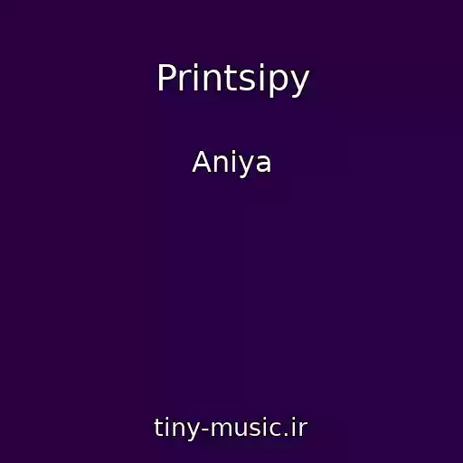 کاور آهنگ Printsipy از Aniya