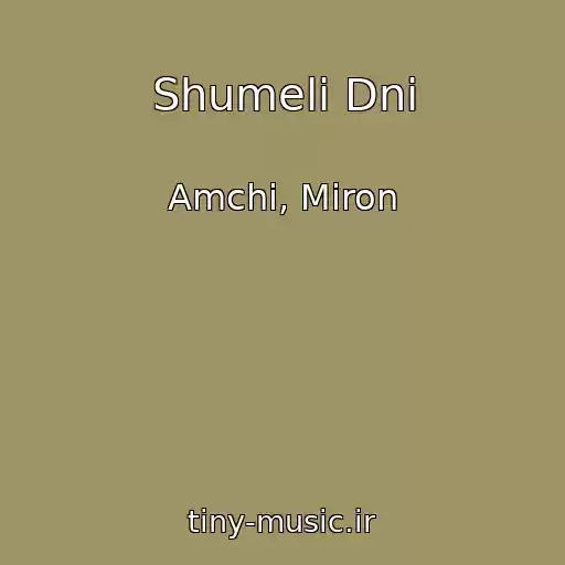 کاور آهنگ Shumeli Dni از Amchi, Miron