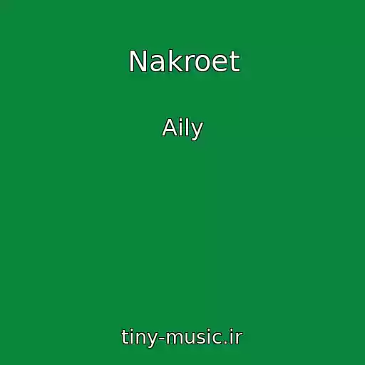 کاور آهنگ Nakroet از Aily