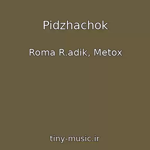 کاور آهنگ Pidzhachok از Roma R.adik, Metox