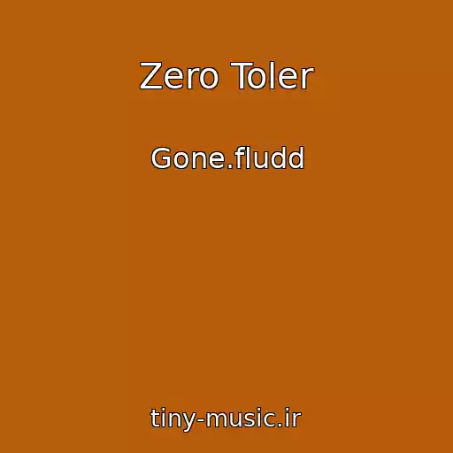 کاور آهنگ Zero Toler از Gone.fludd