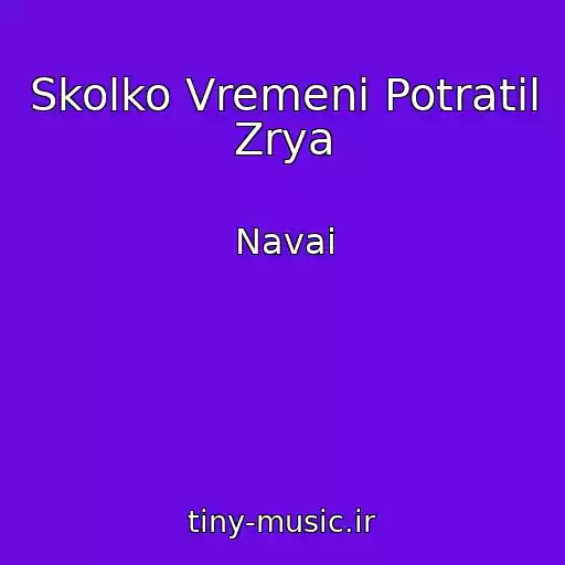 کاور آهنگ Skolko Vremeni Potratil Zrya از Navai