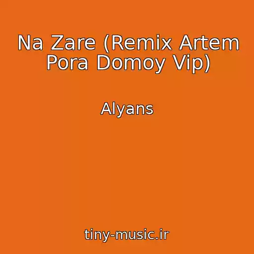 کاور آهنگ Na Zare (Remix Artem Pora Domoy Vip) از Alyans